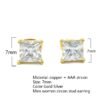 Zircon Stud Earrings - 6