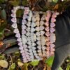 Tennis Necklace with Heart and Letter Charms - 5